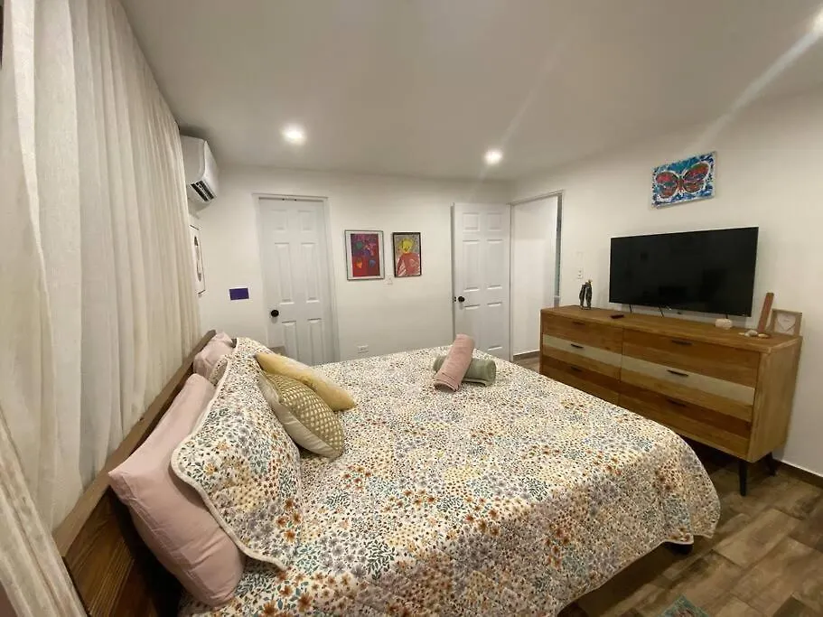 Castillo Del Parque Stylish 2Bed Calle Loiza Apartment Σαν Χουάν 0*,